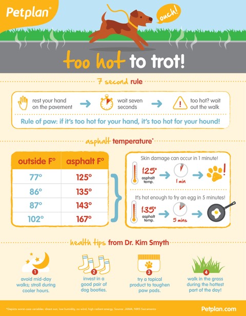 Asphalt Temperatures for Dogs, hot weather tips for pets, 