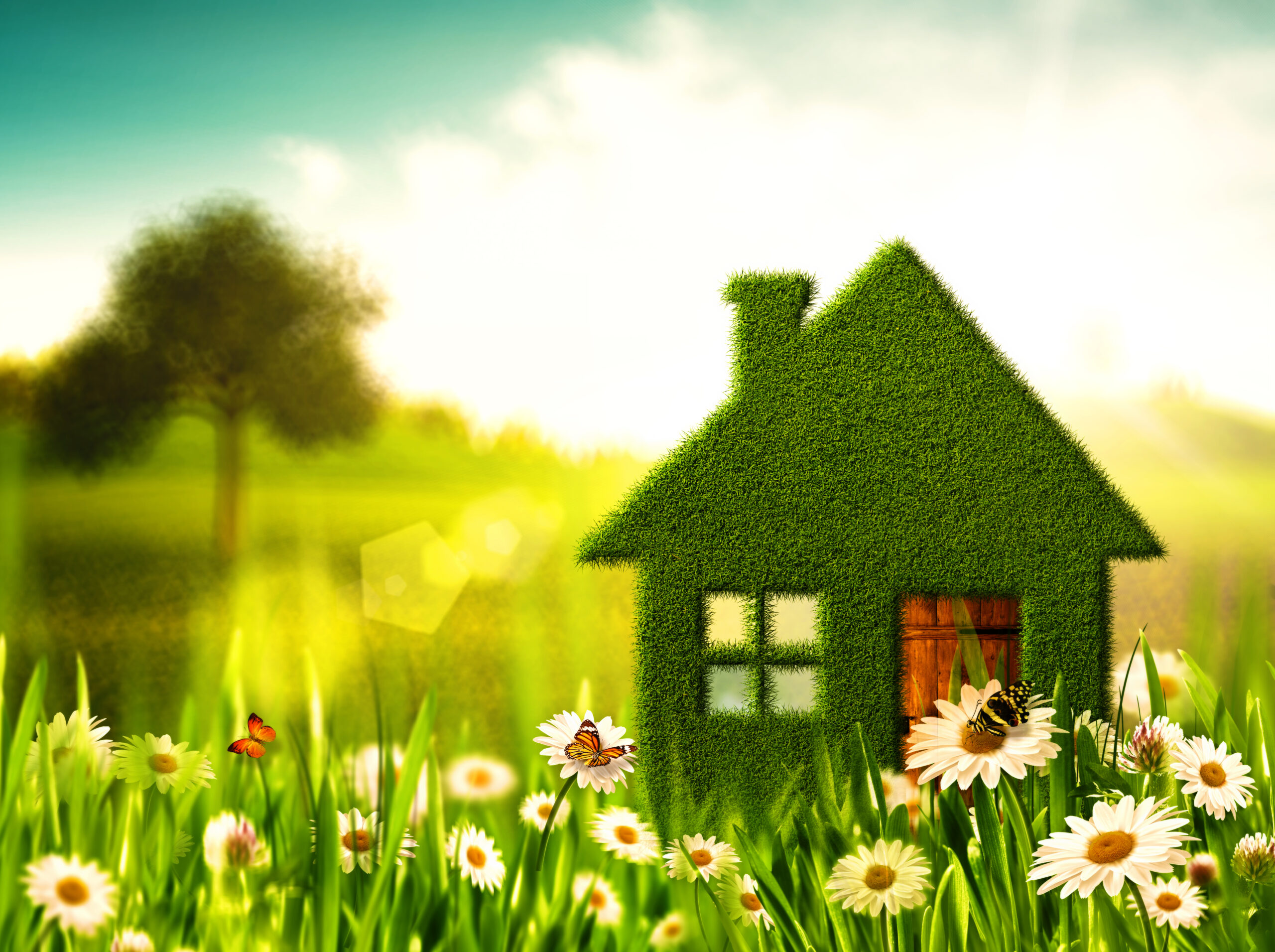 What Are Experts Saying About the Spring Housing Market?